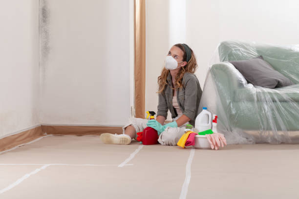 Reliable Bathroom Mold Removal contractor in Glenwood, GA by WQB Mold Removal